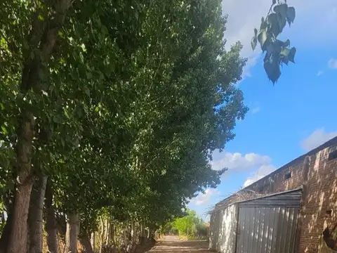 Ruta Provincial 50 5200