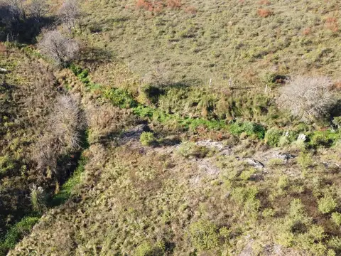 Terreno en Venta de 41891,0 m2