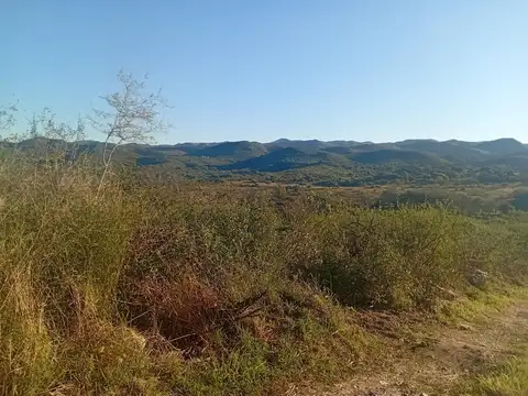 4 HECTAREAS EN VENTA, FALDA DEL CARMEN