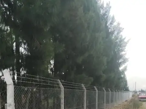 Terreno en Venta de 7088,0 m2