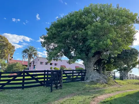 Camino Sierra de los Caracoles