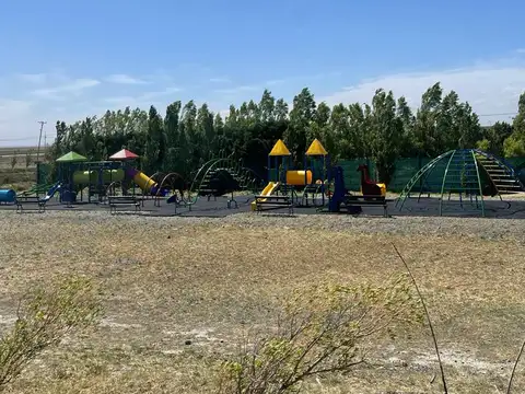 Bahia y los cipreses