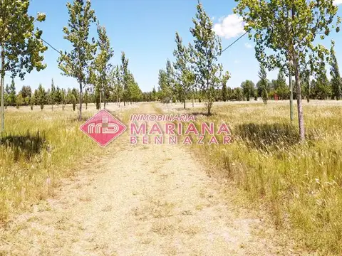 TERRENOS PARA TU CASA QUINTA EN BARADERO