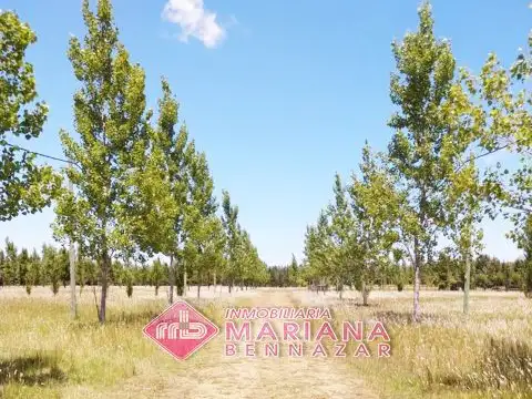 Terreno en Venta en Baradero, USD 0