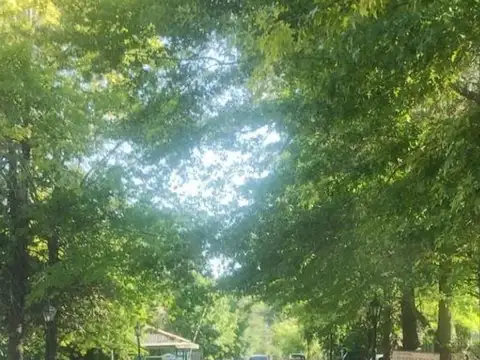 Terreno en Venta de 811,0 m2