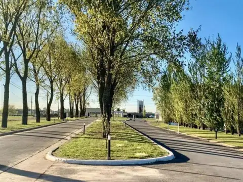 Terreno en Venta en La Alameda, USD 39.500