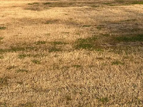 Caceres S/n Entre Ruta 58, Km 9,5 y Av. Sargento Cabral S/N, La Alameda, Canning, Esteban Echeverria, Buenos Aires