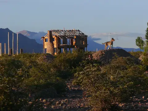 Terreno en Venta 100  mts Fondo