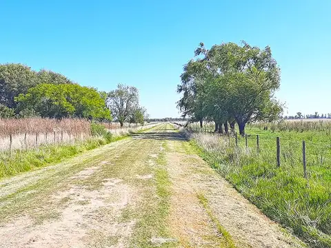 Campo en Venta - 446 hectáreas s/ruta 30 en Chacabuco