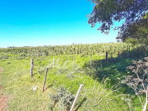 Campo en Venta - 446 hectáreas s/ruta 30 en Chacabuco