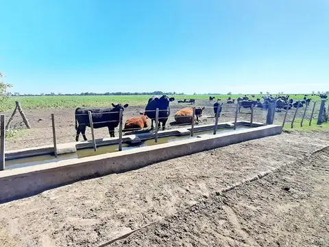 Campo en Venta - 446 hectáreas s/ruta 30 en Chacabuco