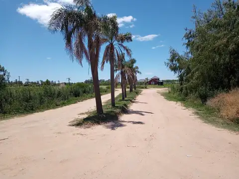 Ruta provincial 46 al 400 | Isla del Ibicuy | Barrio Náutico Sagastume | Entre