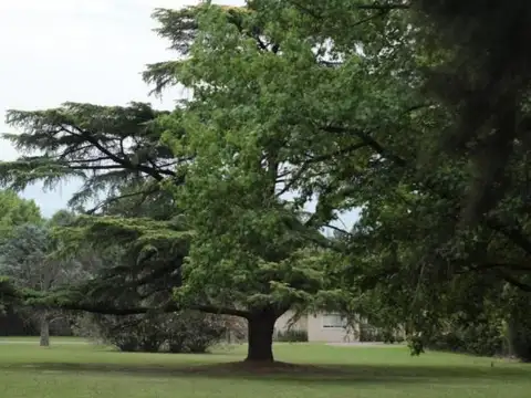 Venta de Lote en La Otilia UF 100