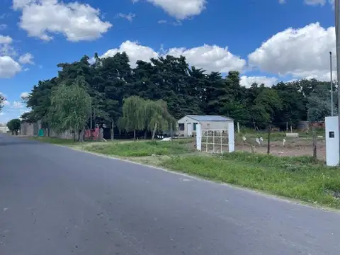 Benefactora Sanpedrina 2650