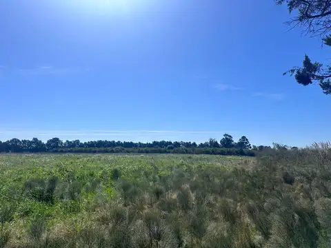 Venta de Campo de 2.82 hectáreas Camino Garcés