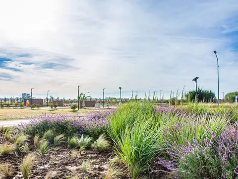 VENTA LOTE ECO VIDA FINANCIACION/PERMUTA