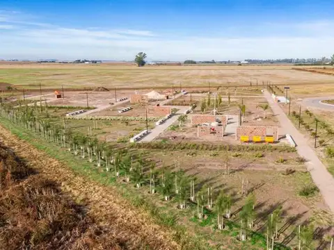 Terreno en Venta en Villa Amelia, USD 17.500