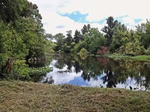 PUERTOS DEL LAGO 100