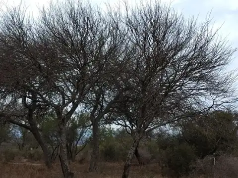 Terreno en Venta de 1000,0 m2