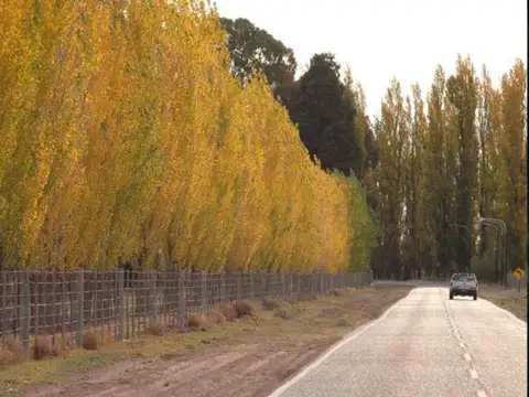 Calle Tirasso a metros del Parque Norte