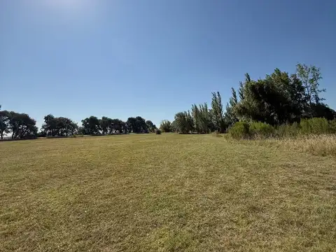 Venta Chacra de 1 Ha con Arroyo en Loma La Escondida.