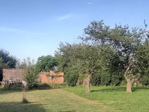 Quinta de 1/2 hectárea con 2 casas y pileta (5039 m2) sobre 13 Lotes de distintos tamaños.