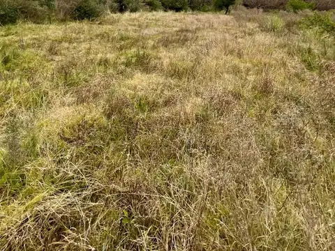 Venta Campo 19 Has sobre arroyo Sarandí Costa Azul