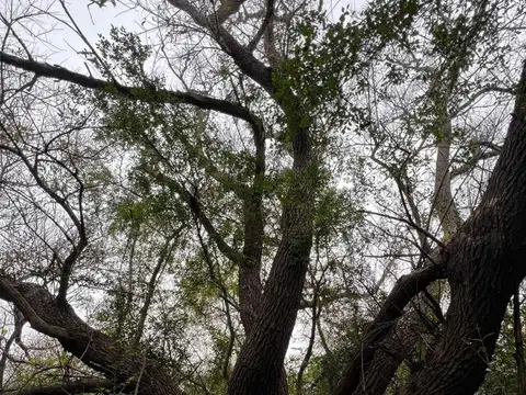 Venta Campo 19 Has sobre arroyo Sarandí Costa Azul