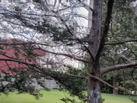 Terreno en Venta de 600,0 m2