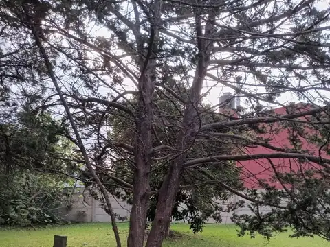 Terreno en venta - 600Mts2 - Lisandro Olmos, La Plata