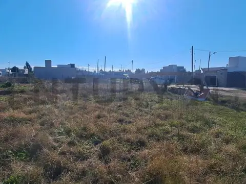 Terreno en Venta de 299,0 m2