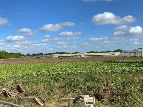 HECTAREAS EN VENTA LA PLATA OLMOS