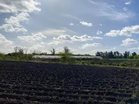 HECTAREAS EN VENTA LA PLATA OLMOS
