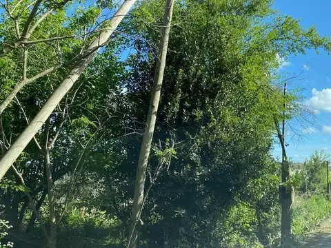 Terreno en Venta en Lisandro Olmos Etcheverry, USD 180.000