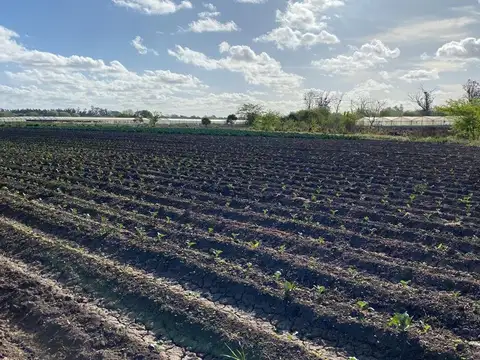 Terreno en Venta de 52245,0 m2