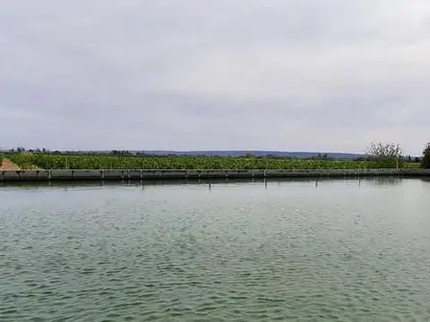 CUBO VENDE - Excepcional Finca 30 Has. - Ugarteche - Luján de Cuyo - Mendoza