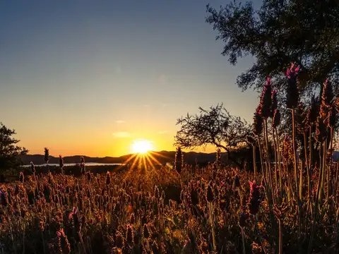 Terreno en Venta, FOT 30