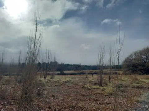 Terreno en Venta de 57826,0 m2