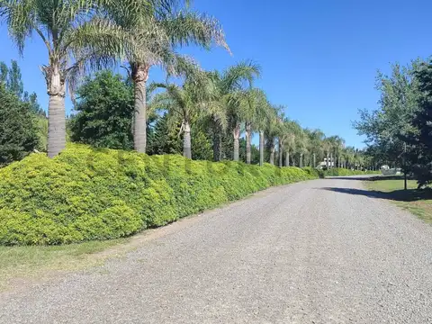 Venta de Lote Ubicado en Altos de Brandsen