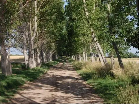 Campo en Resolana 1887 Has a 31km de San Rafael