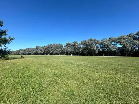 Terreno en Venta en Vicente Casares, USD 48.500