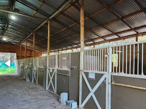 Luis Maria Drago 500