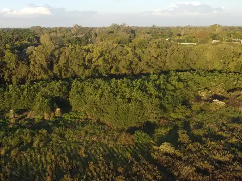 Av. Dardo Rocha y Lago Argentino