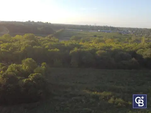 Av. Dardo Rocha y Lago Argentino