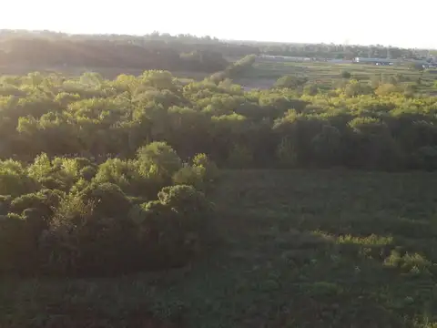 Av. Dardo Rocha y Lago Argentino