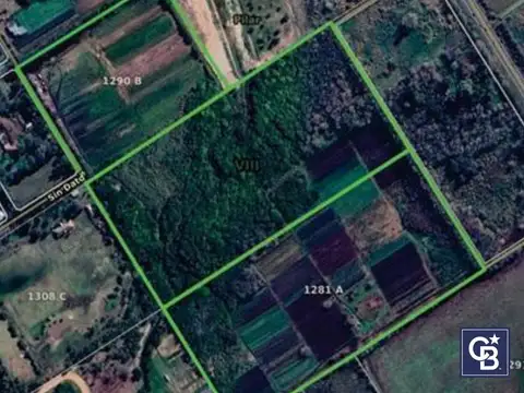 Av. Dardo Rocha y Lago Argentino