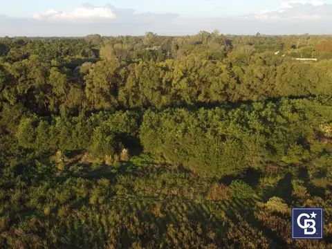 Venta de Lote de 17 hectáreas apto escrituración inmediata e ideal inversión en Villa Astolfi, Pilar