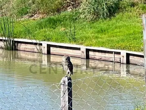 Terreno en Venta de 731,0 m2