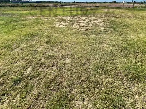 Terreno en Venta de 731,0 m2