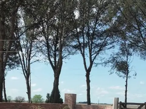 Terreno en Venta en Hernandez, USD 25.000